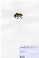 藏品(白果胞藻)的圖片